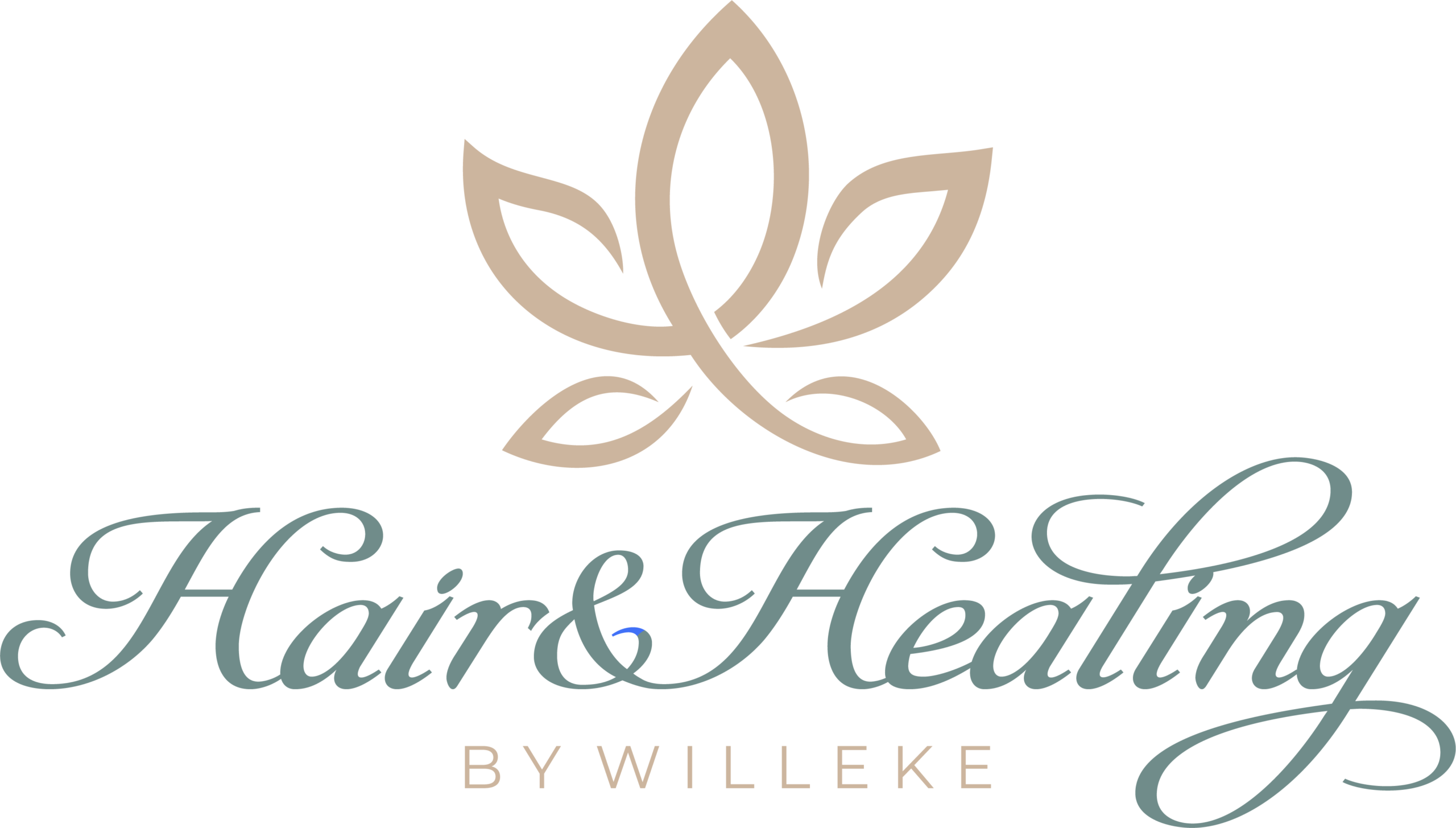 Hair and Healing by Willeke
